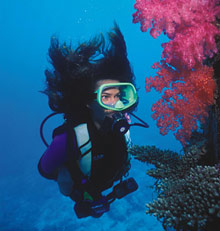 Остров Тартл, Фиджи