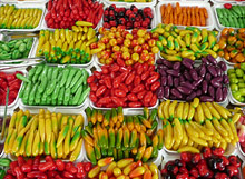 Бангкок, Тайланд