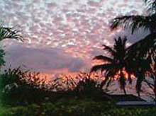 West Coast (Западное побережье), Барбадос