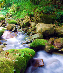 Остров Пенанг, Малайзия