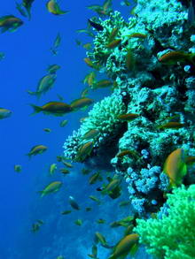 Акаба, Иордания