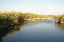 Азрак и Шаумари, Иордания