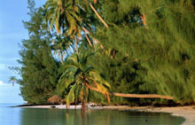 Таити (Tahiti), Таити