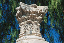 Ирбид, Иордания