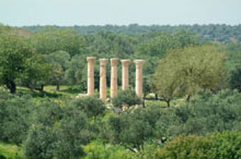 Ирбид, Иордания