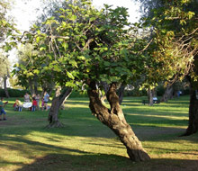 Больё сюр Мер, Франция