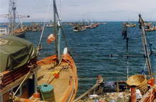 Хуахин и Ча-Ам, Тайланд