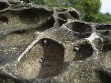 Остров Куд, Тайланд