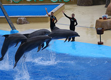 Каталония, Испания