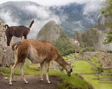 Мачу-Пикчу, Перу