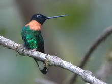 Мачу-Пикчу, Перу