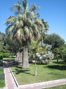 Кап д`Ай (Cap d'Ail), Франция