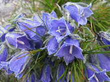 Высокие Татры, Словакия