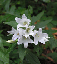 Высокие Татры, Словакия