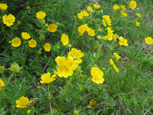 Высокие Татры, Словакия