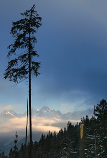 Высокие Татры, Словакия