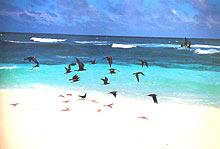 Остров Альфонс, Сейшельские острова