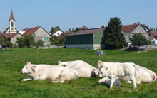 Виллар, Швейцария