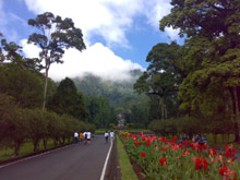 Денпасар, Бали