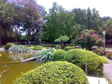 Денпасар, Бали