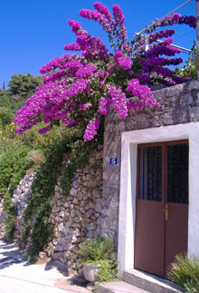 Колочеп, Хорватия