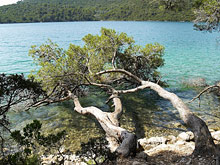 Млет, Хорватия