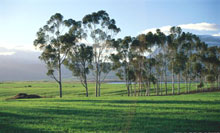 Кейптаун, ЮАР