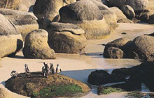 Кейптаун, ЮАР