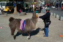 Сантьяго, Чили