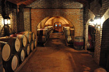 Долины виноделов, Чили