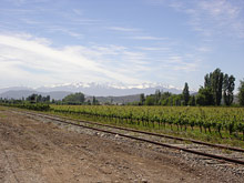 Долины виноделов, Чили