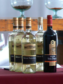 Долины виноделов, Чили