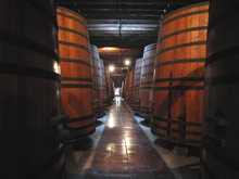 Долины виноделов, Чили