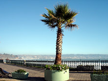 Винья дель Мар, Чили