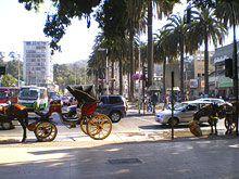 Винья дель Мар, Чили