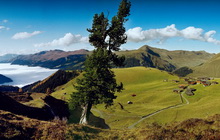 Ароза, Швейцария