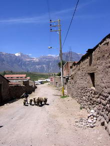 Каньон Колка, Перу