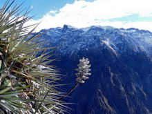 Каньон Колка, Перу