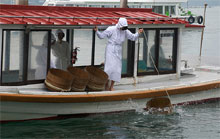 о. Жемчужный, Япония