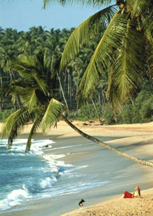 �������� (Kalutara), ���-�����