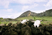 Остров Пасхи (Рапа Нуи), Чили