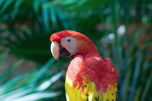 Ривьера-Майя, Мексика