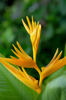 Ривьера-Майя, Мексика