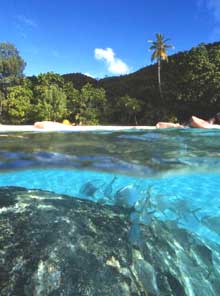 Остров Праслин, Сейшельские острова