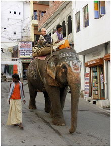 Удайпур, Индия