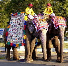 Удайпур, Индия