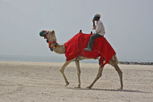 Эмират Шарджа, ОАЭ