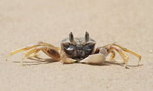 Хайнань, Санья, Китай