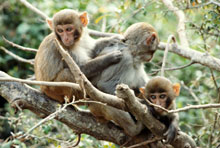 Хайнань, Санья, Китай