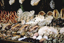 Малинди, Кения